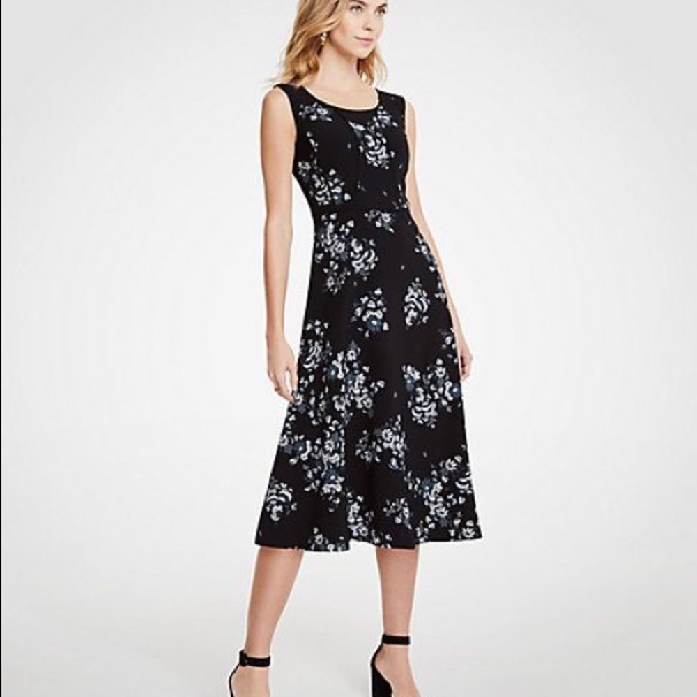 Ann Taylor Floral Piped Midi Dress